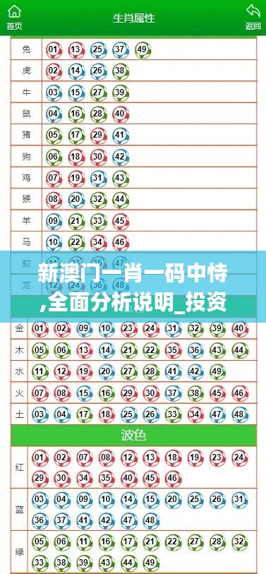 2024年12月11日 第82页