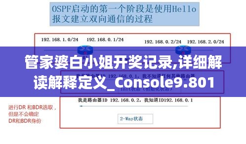 管家婆白小姐开奖记录,详细解读解释定义_Console9.801