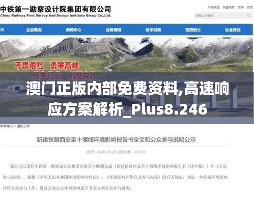 澳门正版内部免费资料,高速响应方案解析_Plus8.246