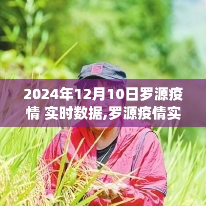 2024年12月10日罗源疫情实时数据分析报告，动态观察与报告