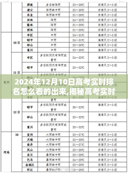 揭秘高考实时排名，如何查看高考成绩排名信息（针对2024年12月高考）