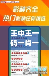 王中王一码一肖一特一中2024年,预测说明解析_app1.235