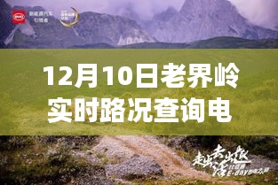 老界岭实时路况电话背后的暖心之旅与意外友情故事