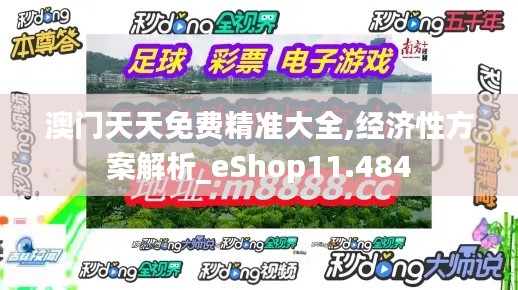 澳门天天免费精准大全,经济性方案解析_eShop11.484