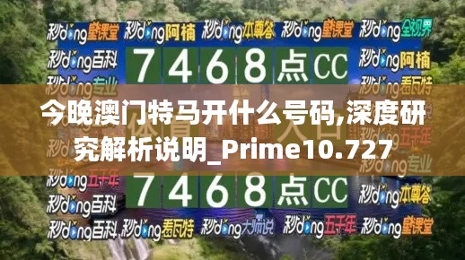 今晚澳门特马开什么号码,深度研究解析说明_Prime10.727