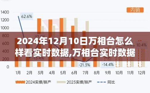 2024年12月10日万相台实时数据深度洞察与观测