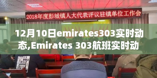 揭秘Emirates 303航班在十二月十日当天的实时动态与三大关键要点揭秘空中之旅