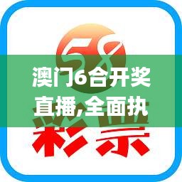 澳门6合开奖直播,全面执行计划_kit6.712