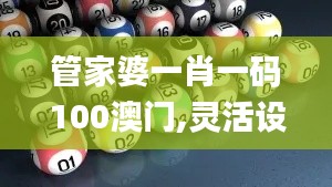 管家婆一肖一码100澳门,灵活设计解析方案_运动版1.203