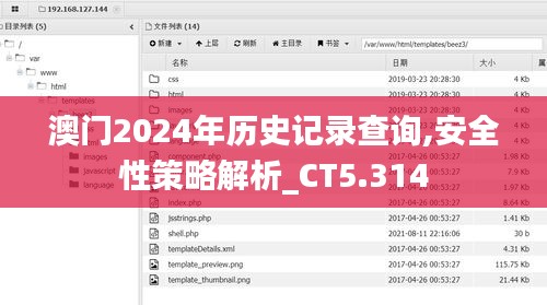 澳门2024年历史记录查询,安全性策略解析_CT5.314