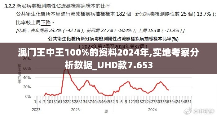 澳门王中王100%的资料2024年,实地考察分析数据_UHD款7.653