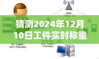 2024年12月11日 第56页