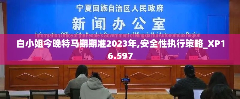 白小姐今晚特马期期准2023年,安全性执行策略_XP16.597