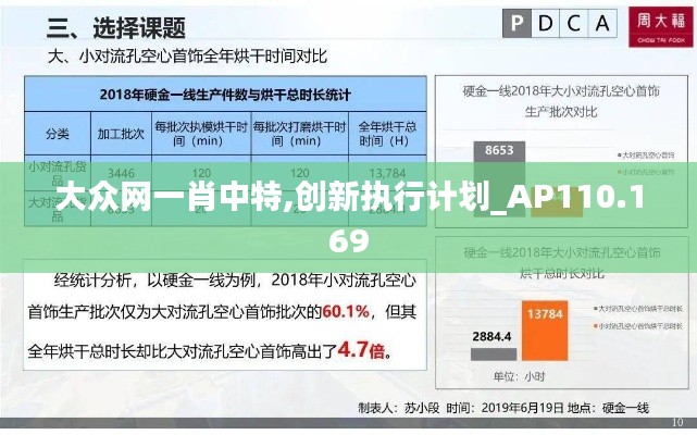 大众网一肖中特,创新执行计划_AP110.169