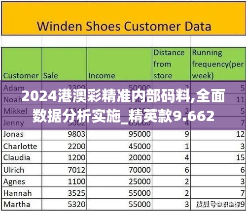 2024港澳彩精准内部码料,全面数据分析实施_精英款9.662