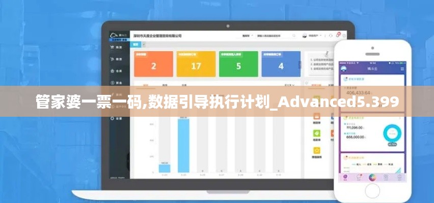 管家婆一票一码,数据引导执行计划_Advanced5.399