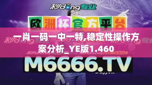 一肖一码一中一特,稳定性操作方案分析_YE版1.460