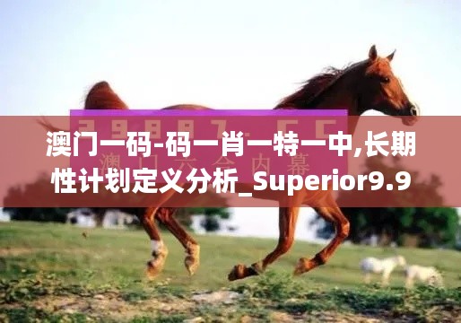 澳门一码-码一肖一特一中,长期性计划定义分析_Superior9.904