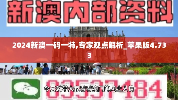 2024新澳一码一特,专家观点解析_苹果版4.733