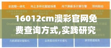 16012cm澳彩官网免费查询方式,实践研究解析说明_GT3.500