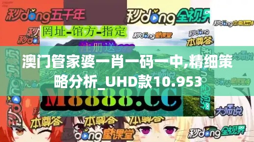 澳门管家婆一肖一码一中,精细策略分析_UHD款10.953