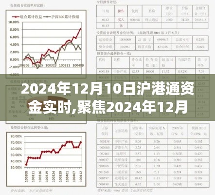 2024年12月10日沪港通资金实时深度解析与观点阐述