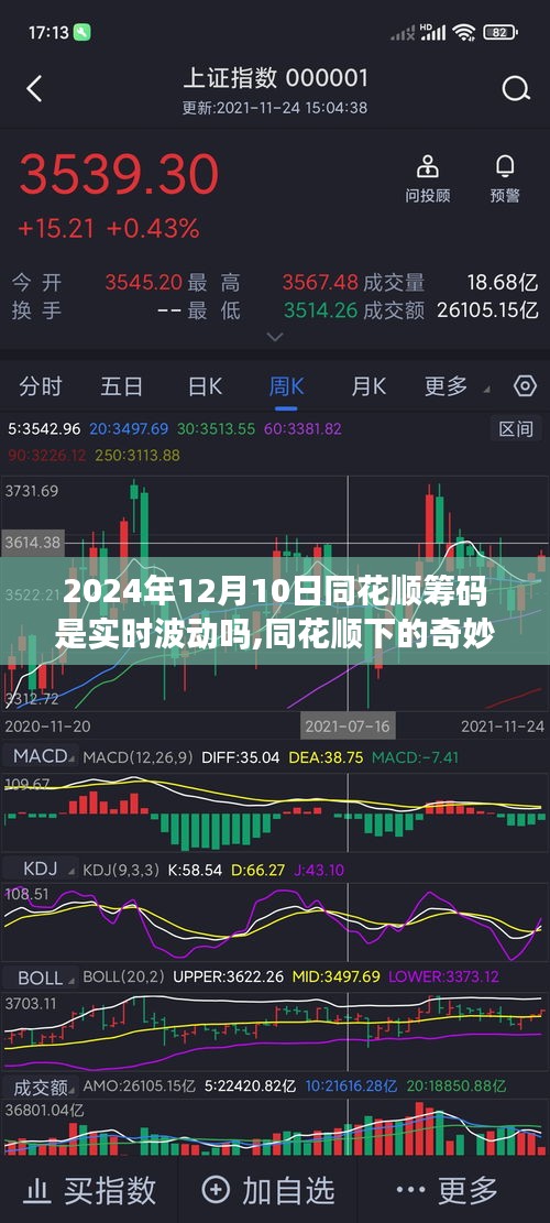 同花顺下的奇妙一日，筹码实时波动与家的温暖之旅