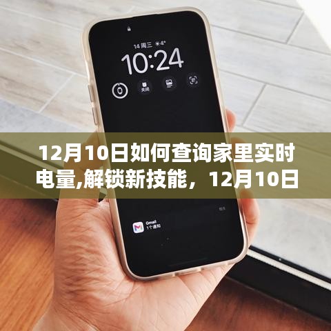 12月10日，掌握查询实时电量技巧，激发家庭能源管理潜能！