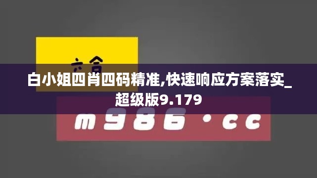 白小姐四肖四码精准,快速响应方案落实_超级版9.179