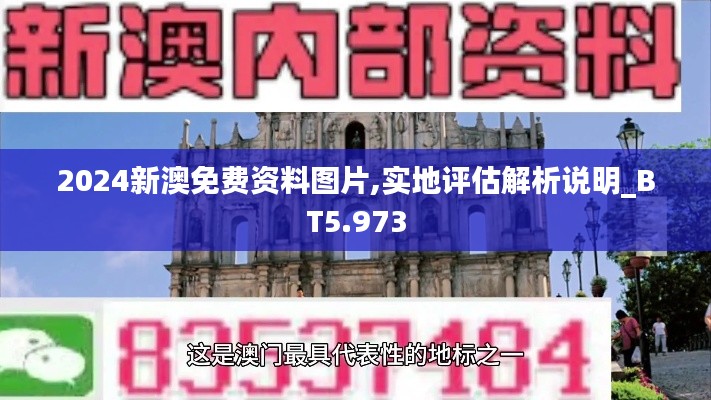 2024新澳免费资料图片,实地评估解析说明_BT5.973