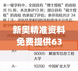 新奥精准资料免费提供630期,灵活性方案实施评估_GT2.246