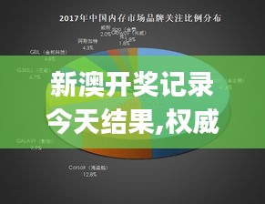 新澳开奖记录今天结果,权威分析解释定义_豪华款3.422