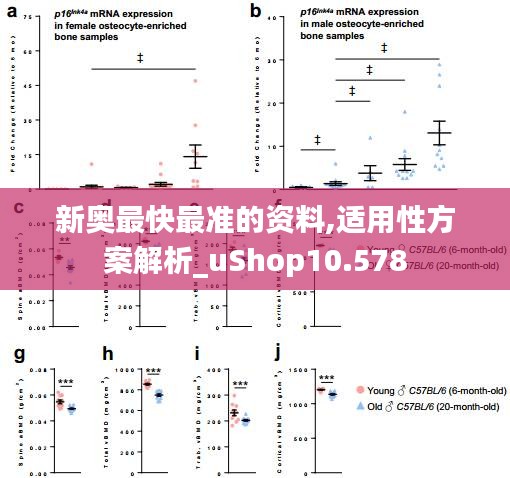 2024年12月11日 第31页