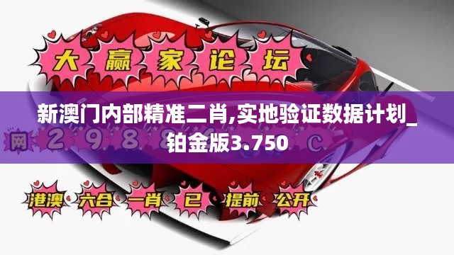 新澳门内部精准二肖,实地验证数据计划_铂金版3.750