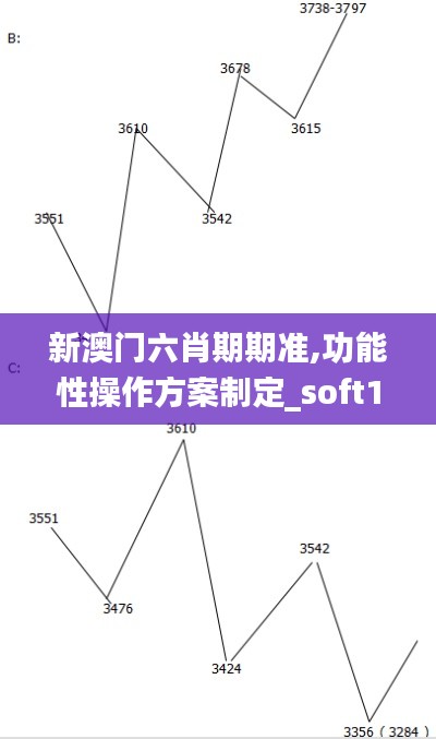 新澳门六肖期期准,功能性操作方案制定_soft1.572