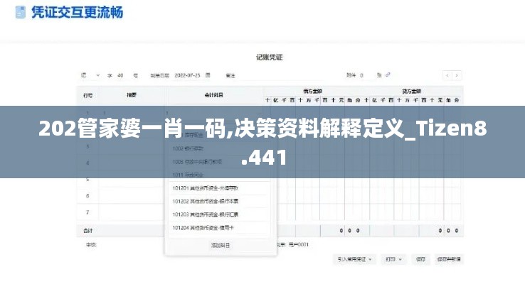 202管家婆一肖一码,决策资料解释定义_Tizen8.441