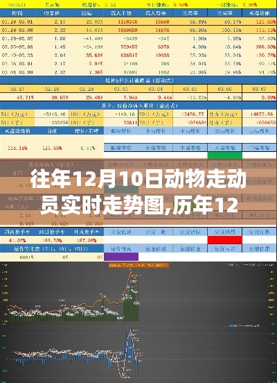 历年12月10日动物走动员实时走势回顾与影响分析