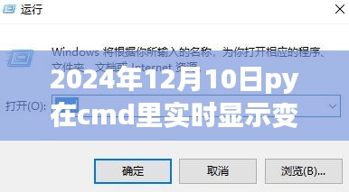 2024年Python在命令行界面实时显示变量值的可行性及其影响分析