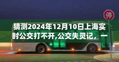 公交失灵记，友情、爱与陪伴的温馨故事，预测上海实时公交系统异常