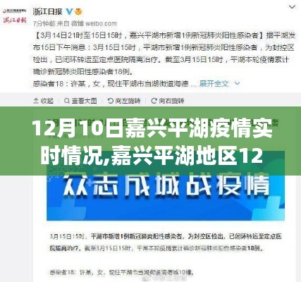 嘉兴平湖地区12月10日疫情实时情况及深度解析