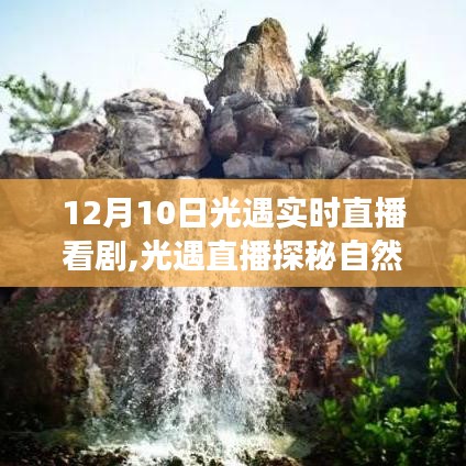 光遇直播，自然美景的心灵之旅，12月10日光遇实时直播之夜