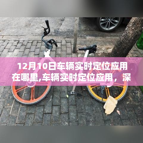 深度探索，车辆实时定位应用的地盘与影响力，特定领域应用解析