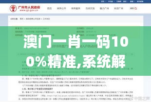 澳门一肖一码100%精准,系统解答解释定义_终极版6.784