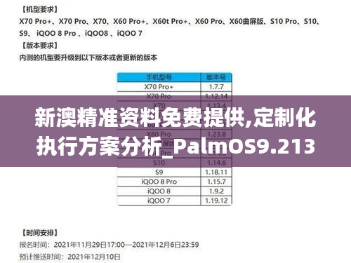 新澳精准资料免费提供,定制化执行方案分析_PalmOS9.213