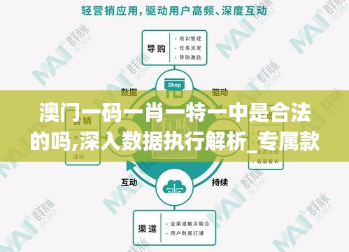 澳门一码一肖一特一中是合法的吗,深入数据执行解析_专属款18.807