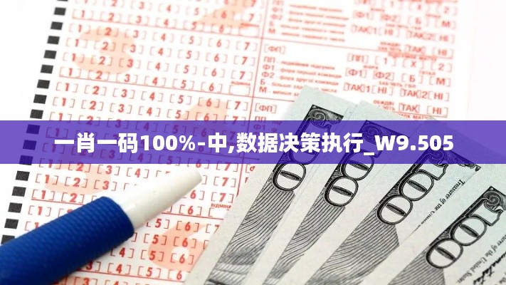 一肖一码100%-中,数据决策执行_W9.505