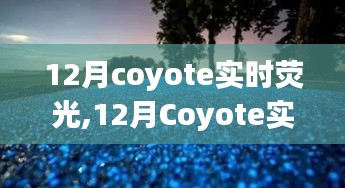 12月Coyote实时荧光，观点阐述与个人立场表达