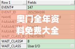 奥门全年资料免费大全一,实践说明解析_超级版4.907