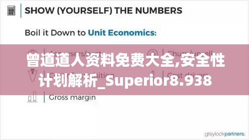 曾道道人资料免费大全,安全性计划解析_Superior8.938