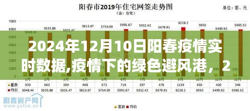 疫情下的绿色避风港与疫情后的自然探索之旅——阳春疫情实时数据与探索之旅